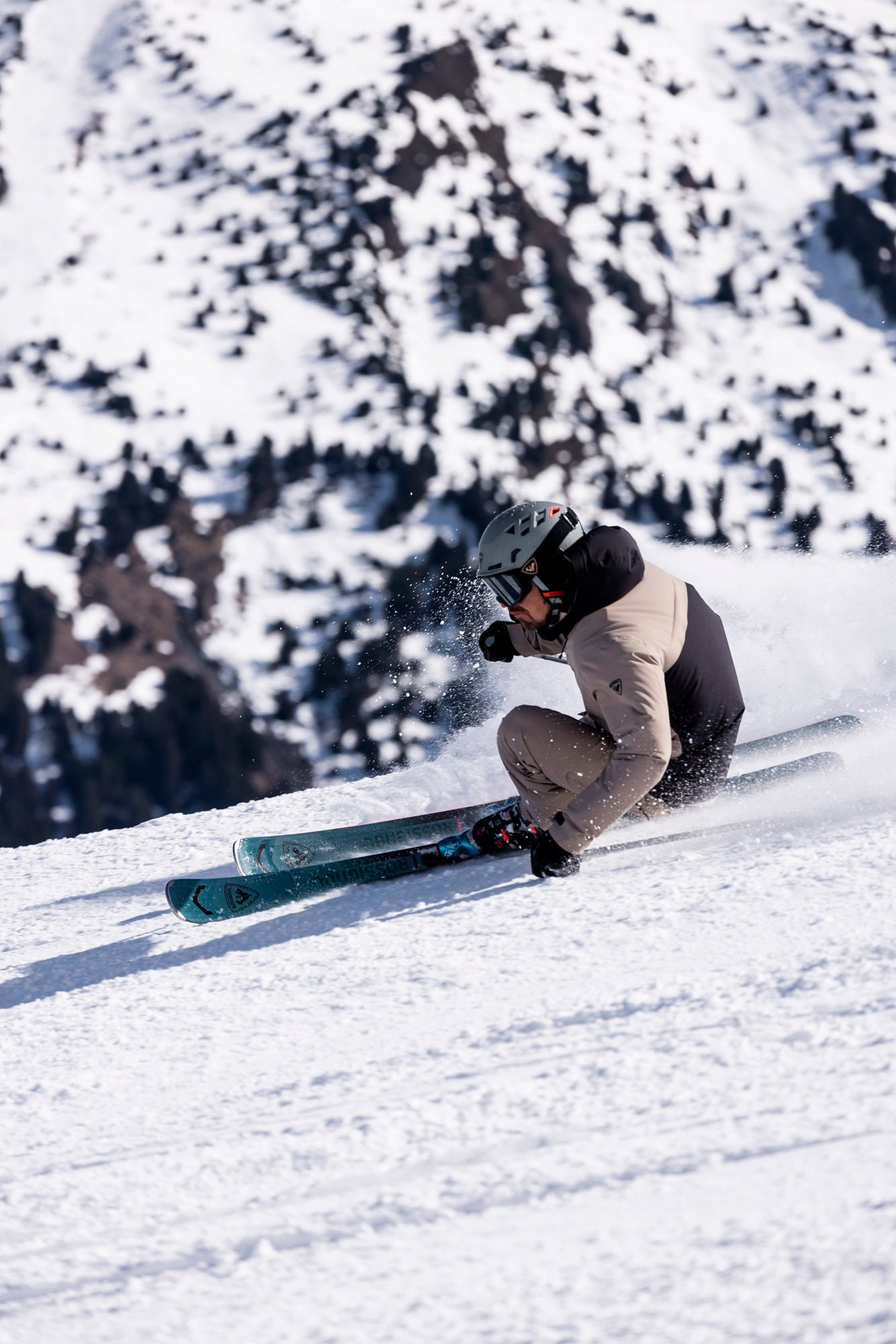 ARCADE ALL MOUNTAIN SKIS